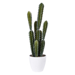 GloboStar® Artificial Garden CEREUS JAMACARU CACTUS 20095 Τεχνητό Διακοσμητικό Φυτό Κάκτος Κηρίος Υ71cm