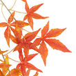 GloboStar® Artificial Garden MAPLE BRANCH 20230 10 x Τεχνητά Διακοσμητικά Κλαδία Σφένδαμου Π55 x Υ60cm