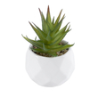 GloboStar® Artificial Garden SUCCULENT ALOE 20982 Διακοσμητικό Φυτό Παχύφυτο Αλόη Υ11cm