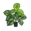 GloboStar® Artificial Garden CALATHEA 20933 Διακοσμητικό Φυτό Καλαθέα Υ55cm