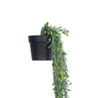 GloboStar® Artificial Garden HANGING MILAN GRASS 20866 Τεχνητό Κρεμαστό Διακοσμητικό Φυτό Milan Grass  Φ18 x Y60cm