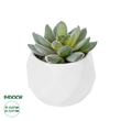 GloboStar® Artificial Garden SUCCULENT SEDEVERIA POTTED PLANT 20987 Διακοσμητικό Φυτό Σεδεβέρια Φ7 x Υ7,5cm