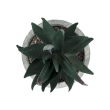 GloboStar® Artificial Garden SUCCULENT ALOE POTTED PLANT 21007 Διακοσμητικό Φυτό Αλόη  Φ7 x Υ14cm