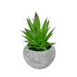 GloboStar® Artificial Garden SUCCULENT ALOE POTTED PLANT 21037 Διακοσμητικό Φυτό Αλόη Φ10 x Υ15cm