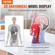 VEVOR Human Half Head Surfacial Neurovascular Model with Musculature, 1:1 Φυσικό Μέγεθος Ανατομικό Μοντέλο Κεφαλής Αυχένα Κρανίο και Εγκέφαλος για Εκμάθηση Επαγγελματικής Εκπαίδευσης, Εκπαίδευση Εκμάθησης για παιδιά