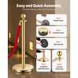 VEVOR 8 τμχ Gold Stanchion Post 6 Red Velvet Ropes Sand Injection Hollow Base