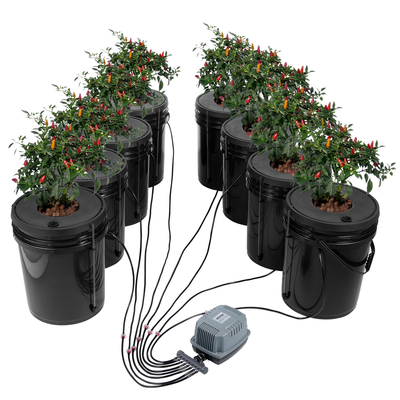 VEVOR DWC Hydroponics Grow System Deep Water Culture 8 κουβάδες με αντλία αέρα