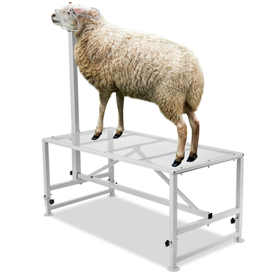 VEVOR Livestock Stand κουρευτική βάση κατσίκας 21&quot;-33&quot; Ύψος 47x23 σε επιτραπέζιο λευκό