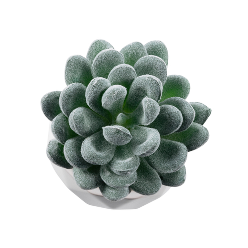 GloboStar® Artificial Garden SUCCULENT SEDEVERIA 21001 Διακοσμητικό Φυτό Παχύφυτο Σεντεβέρια Υ9.5cm