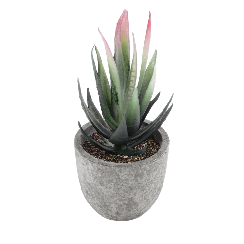 GloboStar® Artificial Garden SUCCULENT ALOE 21008 Διακοσμητικό Φυτό Παχύφυτο Αλόη Υ14cm