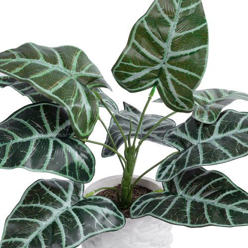 GloboStar® Artificial Garden ALOCASIA 20886 Τεχνητό Διακοσμητικό Φυτό Αλοκασία Φ38 x Υ33cm