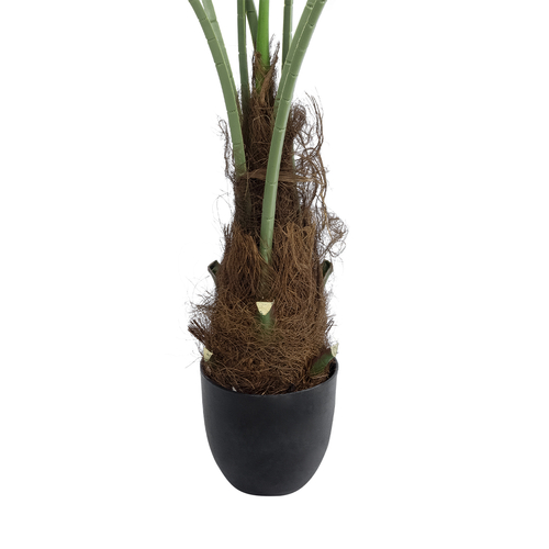 GloboStar® Artificial Garden SERENOA PALM PLANT 20971 Διακοσμητικό Φυτό Φοίνικα Σερενόα Φ60 x Υ140cm