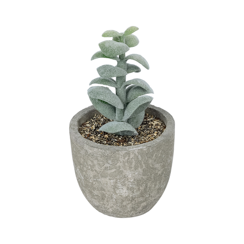 GloboStar® Artificial Garden SUCCULENT SEDEVERIA POTTED PLANT 21027 Διακοσμητικό Φυτό Σεδεβέρια  Φ5 x Υ11cm