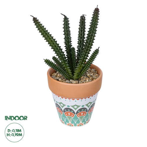 GloboStar® Artificial Garden SUCCULENT EUPHORBIA POTTED PLANT 21045 Διακοσμητικό Φυτό Ευφορβία Φ11 x Υ19cm