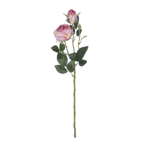 GloboStar® Artificial Garden PINK DAMASK CLIMBING ROSE BRANCH 21199 Τεχνητό Διακοσμητικό Κλαδί Τριαντάφυλλο Σαμπανιζέ Y55cm