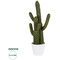 GloboStar® Artificial Garden CARNEGIEA CACTUS 20100 Τεχνητό Διακοσμητικό Φυτό Κάκτος Σαγκουάρο Υ63cm